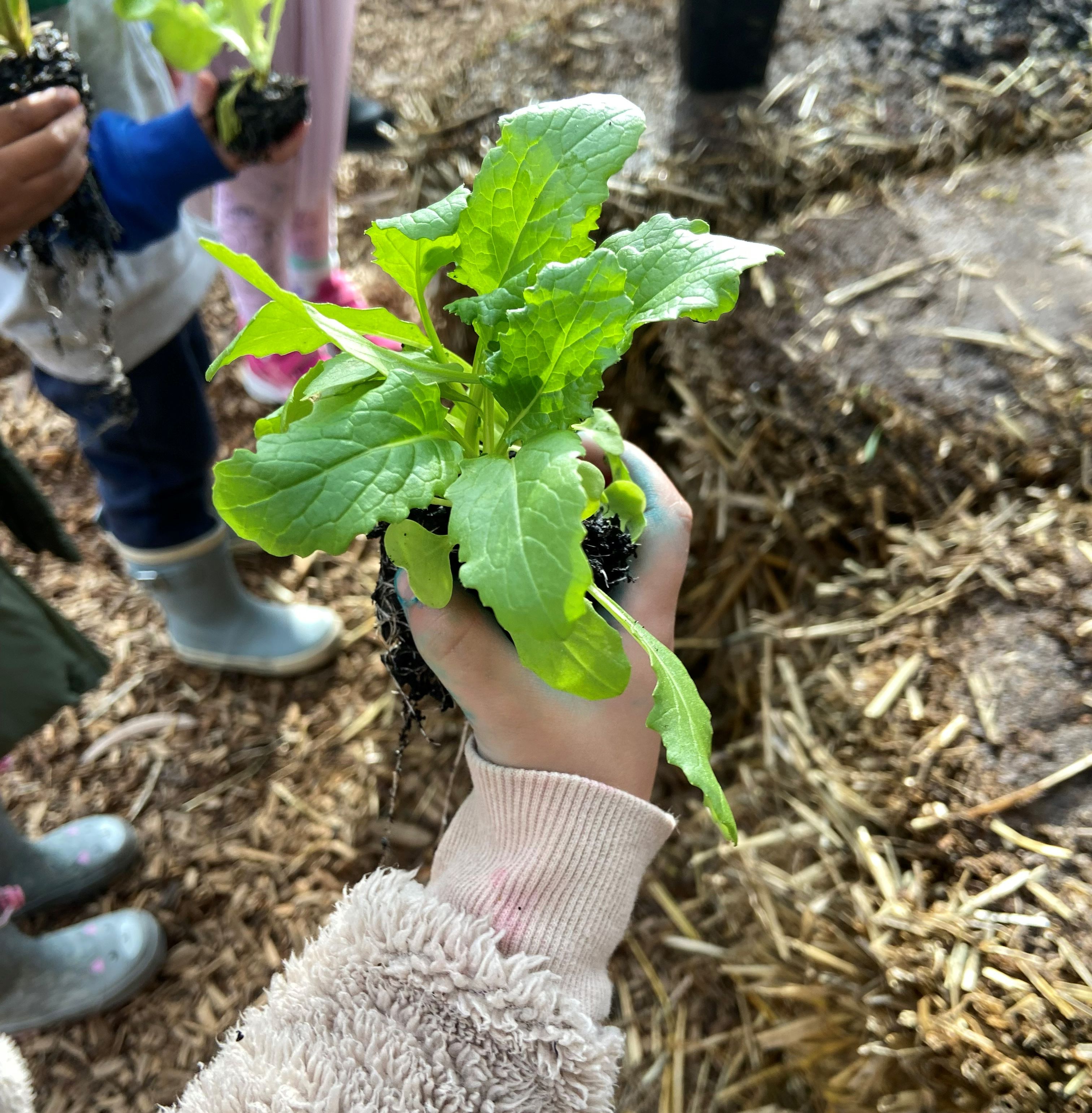 Celebrating climate and health actions at Buckets Early Learning Centre